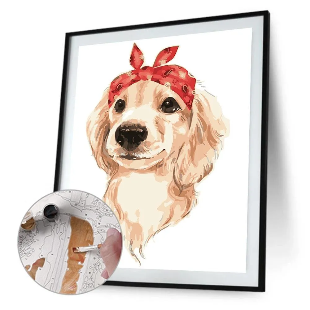 Headband Dog Paints - Paint by Numbers 40x50cm