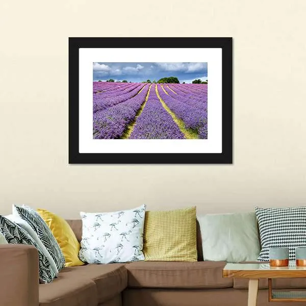 Lavender Field Canvas Wall Art