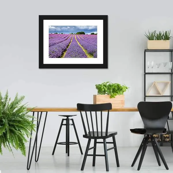 Lavender Field Canvas Wall Art